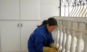 專業保潔服務全解析 從家庭到工廠，從基礎到精細