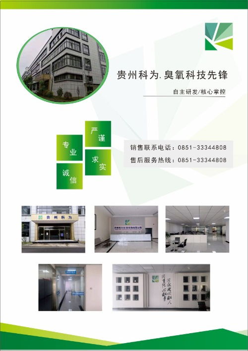 山東貴州臭氧發(fā)生器 10g復(fù)古臭氧機(jī)在辦公室與學(xué)校的消毒除味應(yīng)用